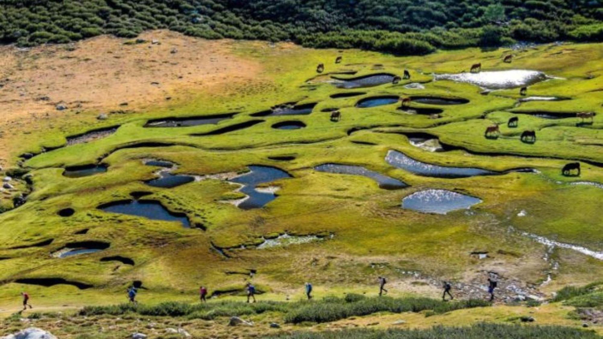 فندق Domaine Le Mouflon D'Or زونزا المظهر الخارجي الصورة