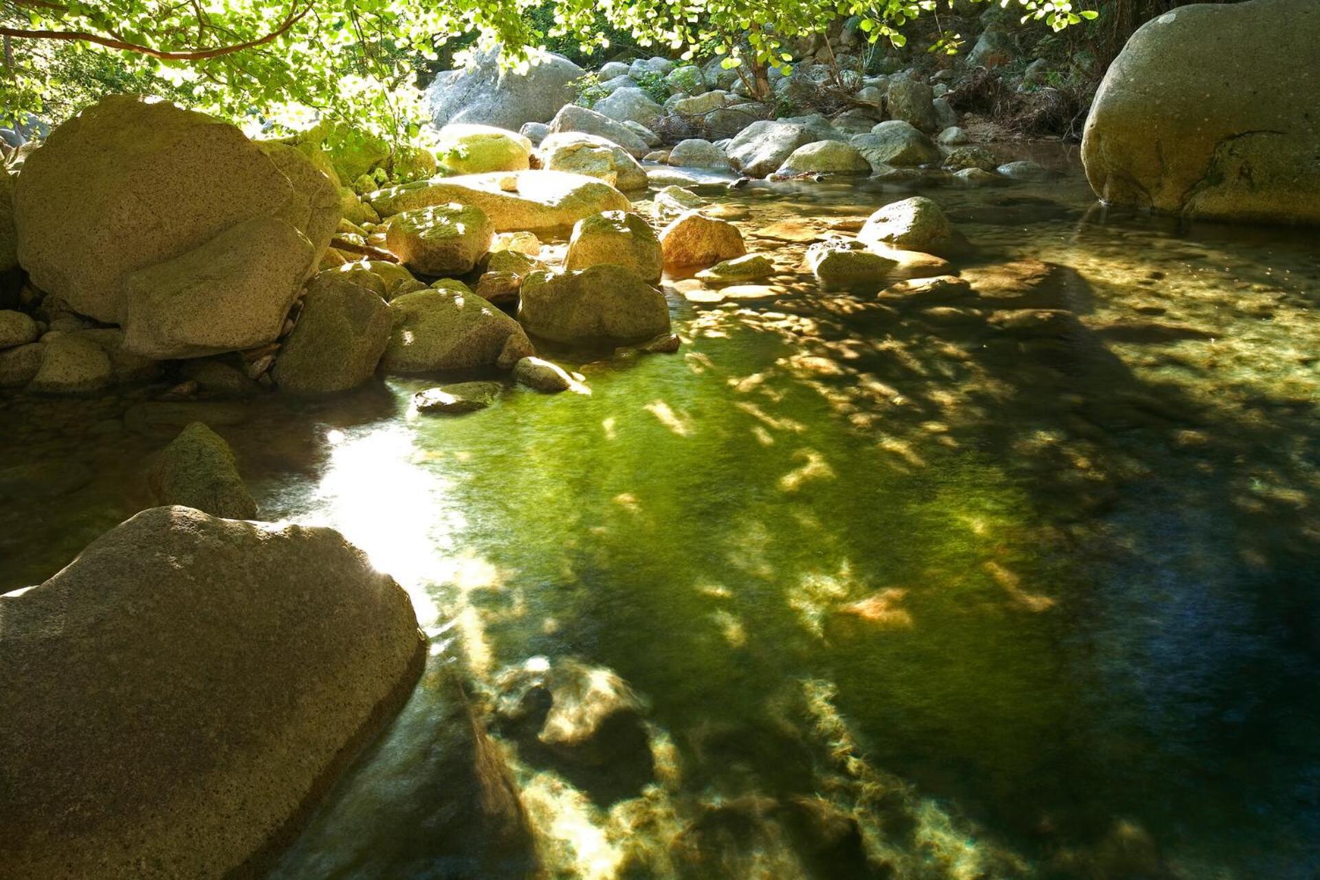 فندق Domaine Le Mouflon D'Or زونزا المظهر الخارجي الصورة