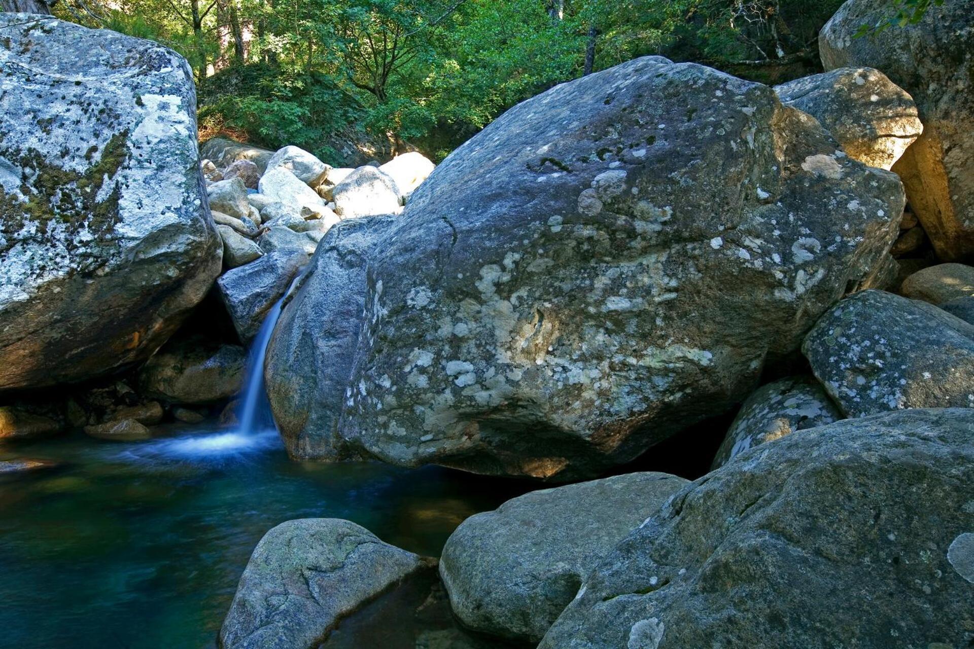 فندق Domaine Le Mouflon D'Or زونزا المظهر الخارجي الصورة
