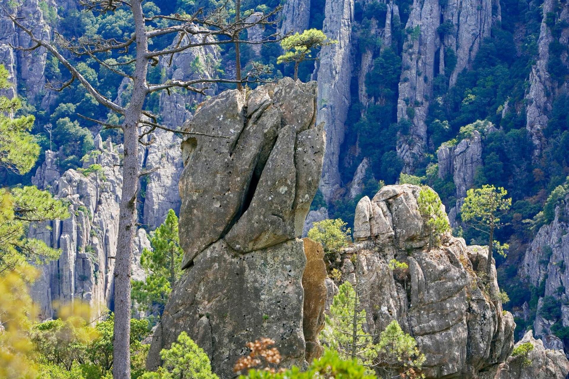 فندق Domaine Le Mouflon D'Or زونزا المظهر الخارجي الصورة