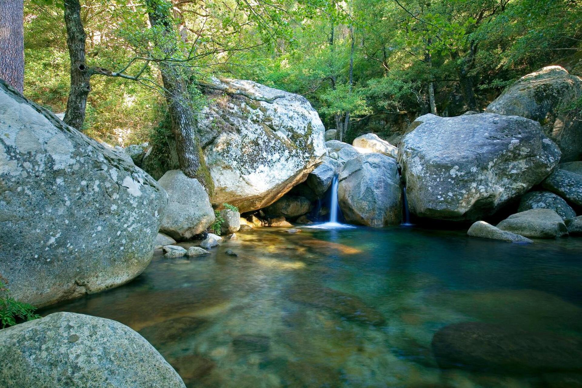 فندق Domaine Le Mouflon D'Or زونزا المظهر الخارجي الصورة